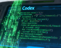 Codex 支持哪些模型？