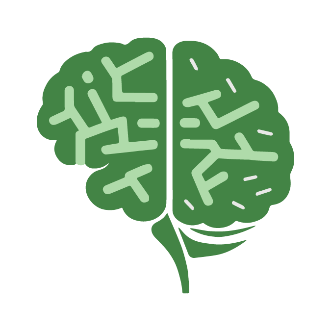 Cerveau de la finance
