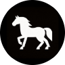 Happy Horse