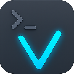 DeepV Code