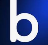 Bagoodex